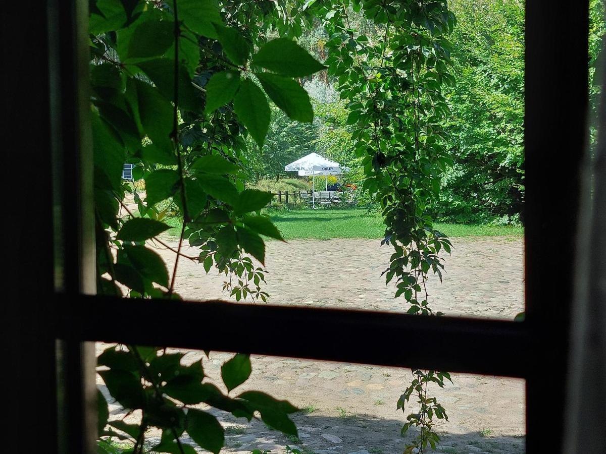 Villa Tamarynowa Osada - Kraina Udanego Wypoczynku Lowyn Exterior foto
